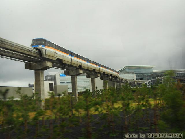 SDC11203.jpg